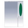 Зеркало-шкаф Misty Сидней 75 R зеленый П-Сид02075-285СвП